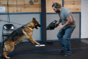 From service to success: Blue Mountain K-9 earns statewide recognition